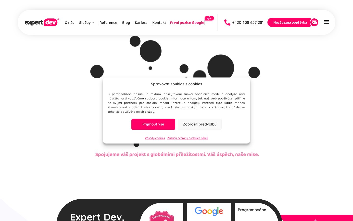 Snímek webu expert-dev.cz